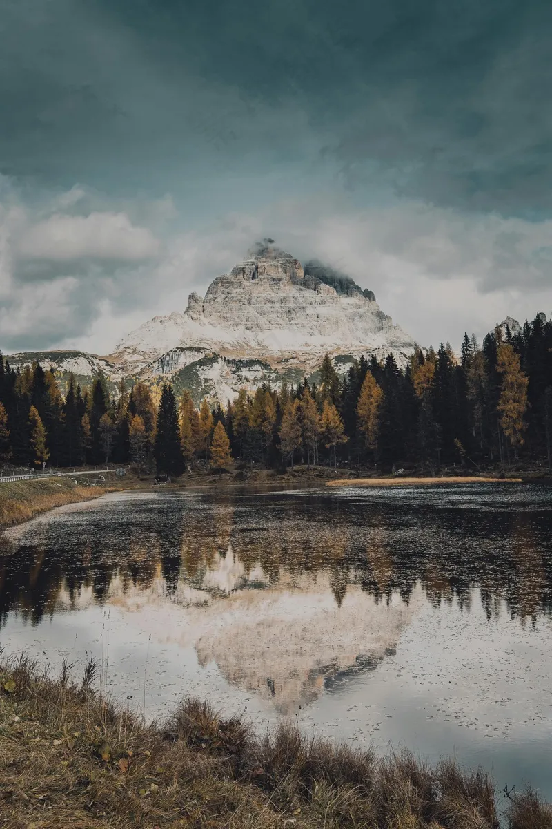 湖光山色映秋林