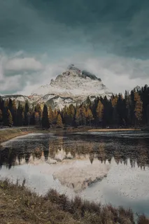 湖光山色映秋林