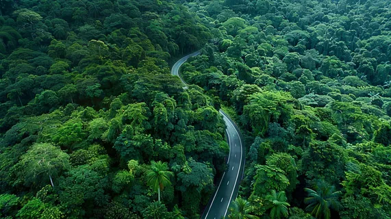 森林环山公路俯拍摄影图 森林环山公路俯拍摄影图