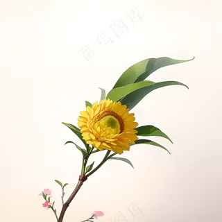 白色黄色手绘新中式风格花植物60 白色黄色手绘新中式风格花植物60