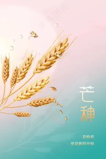 芒种节气传统活动海报