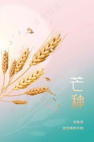 芒种节气传统活动海报