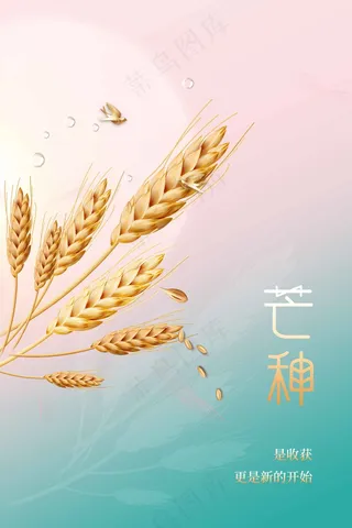 芒种节气传统活动海报