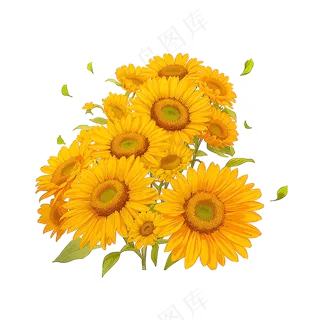 金色向日葵花丛素材12