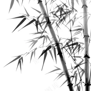竹林竹叶水墨画古风黑白插画免抠