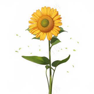 黄色向日葵免抠素材33