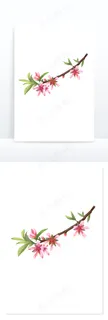 春天的海棠花元素(2)