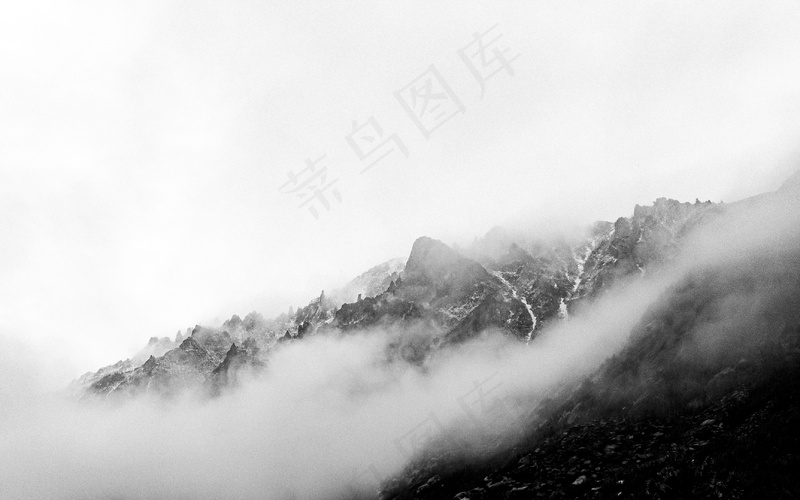 云雾森林图片