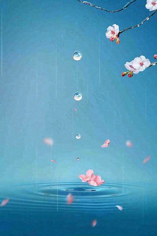 春天梅雨时节雨滴飘落在梅花滴落在水面上泛起涟漪雨水谷雨寒露摄影图