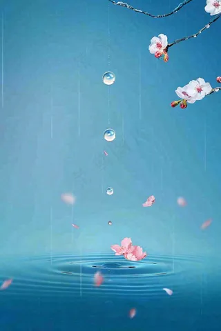 春天梅雨时节雨滴飘落在梅花滴落在水面上泛起涟漪雨水谷雨寒露摄影图