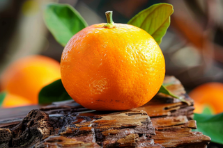 砂糖橘水果橘子摄影图