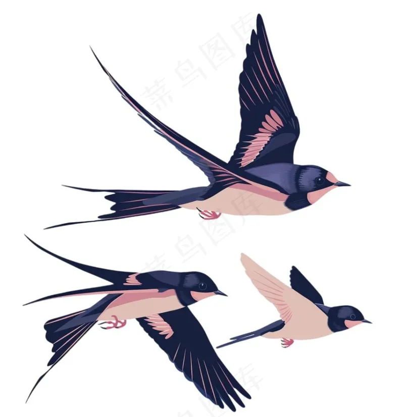 大雁燕子春天鸟元素卡通插画免抠(1024x1056)