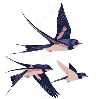 大雁燕子春天鸟元素卡通插画免抠