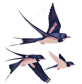 大雁燕子春天鸟元素卡通插画免抠