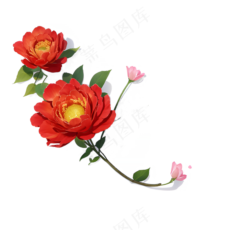 红色 海棠花 手绘 免抠 素材9