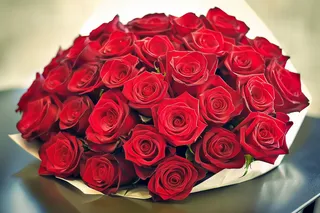 玫瑰花鲜花花朵摄影图