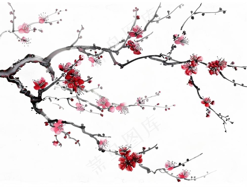 梅花寒梅水墨画中国风插画免抠(1264x960)