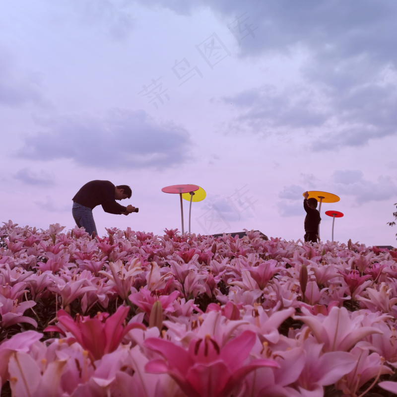 相机中的你人文父子家庭风景插画