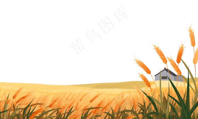 秋季小麦麦穗稻谷麦穗手绘卡通插画免抠(1408x848)