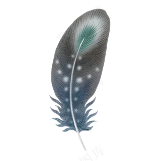 水彩羽毛素材