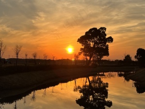 落日夕阳倒影