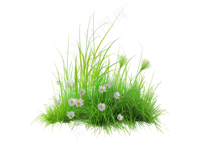 黄绿色野花杂草丛