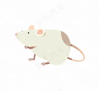 小白鼠老鼠动物卡通插画免抠