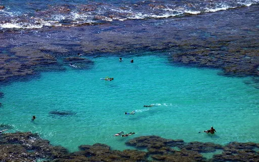 清澈碧绿的热带珊瑚礁海域