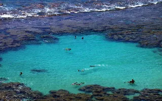 清澈碧绿的热带珊瑚礁海域