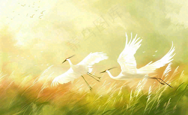 秋天白鹭飞鹤芦苇丛白露寒露节气插画背景(1408x864)