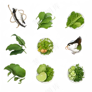 手绘练习小植物花草系列41