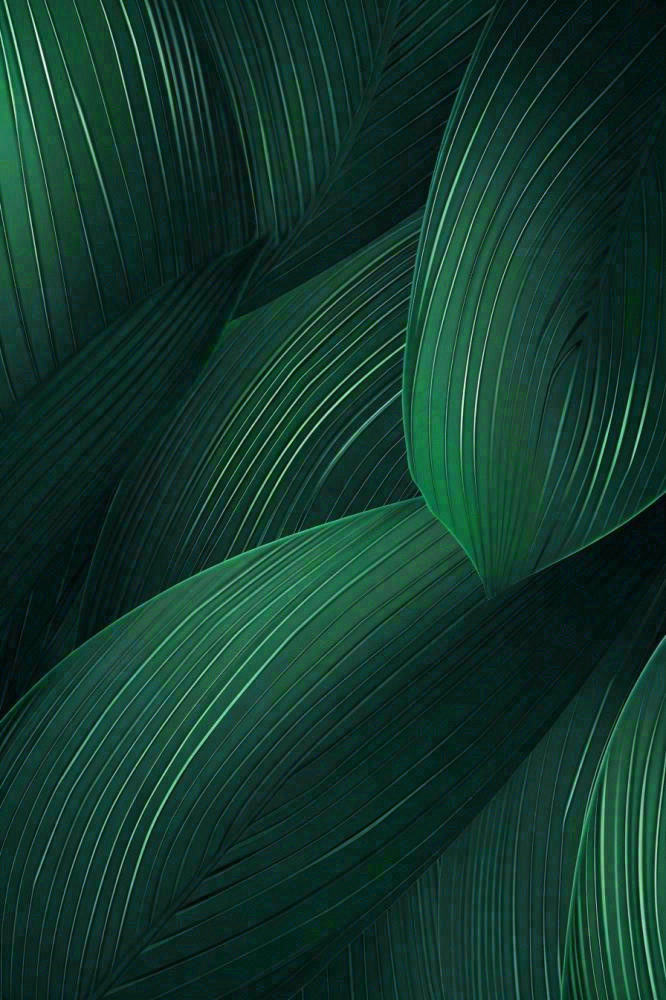 绿色纹理叶子墨绿端午夏天插画纹理背景