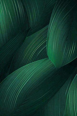 绿色纹理叶子墨绿端午夏天插画纹理背景