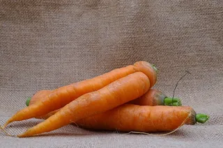 新鲜的红萝卜蔬菜