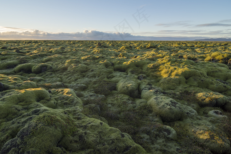  青苔山丘图片