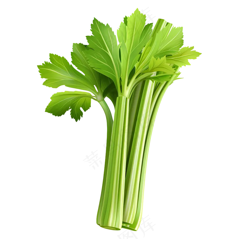 免抠一捆芹菜