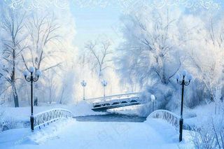 冬天白雪皑皑雪景河流街道路灯桥小雪大雪冬至雪花背景