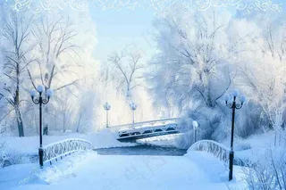 冬天白雪皑皑雪景河流街道路灯桥小雪大雪冬至雪花背景