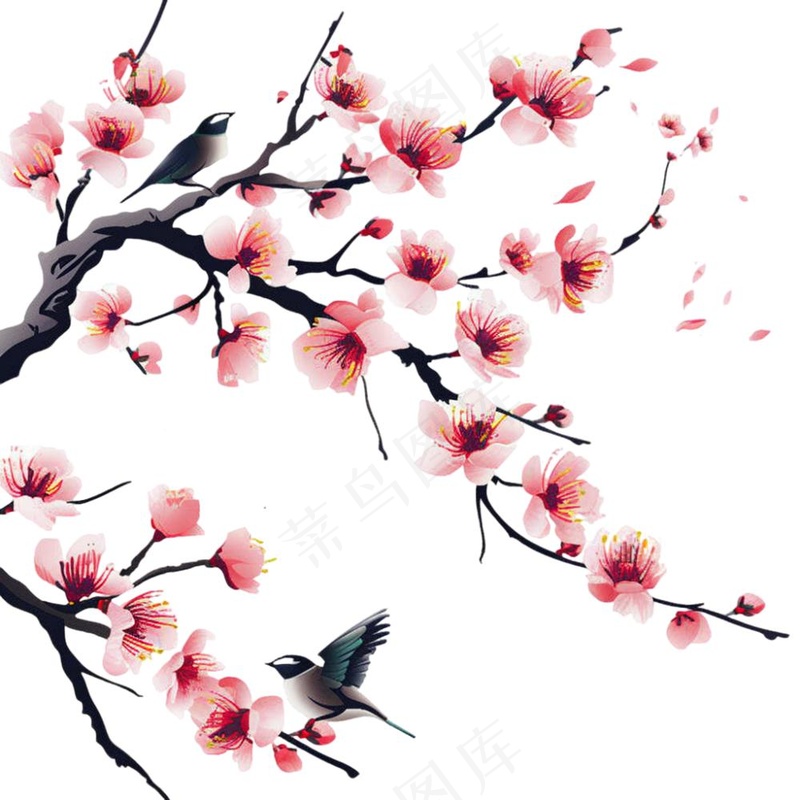 春天桃花树枝小鸟插画免抠(1024x1024)