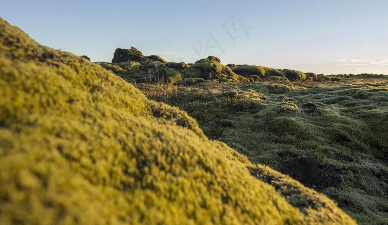  青苔山丘图片