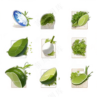 手绘练习小植物花草系列5