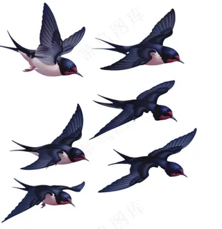 大雁燕子春天鸟元素卡通插画免抠