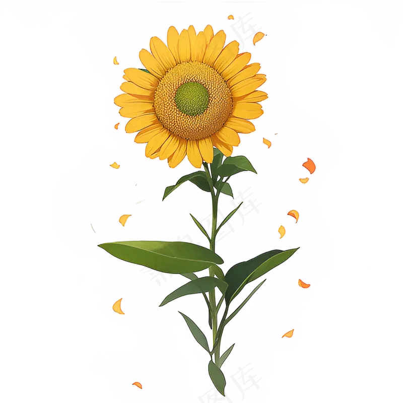 黄色向日葵免抠素材31