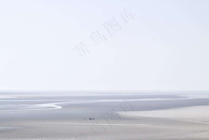 云雾森林图片