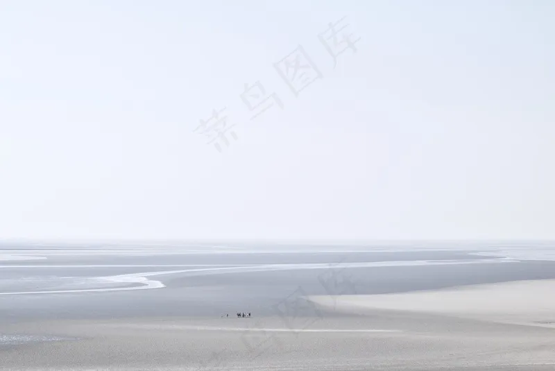 云雾森林图片