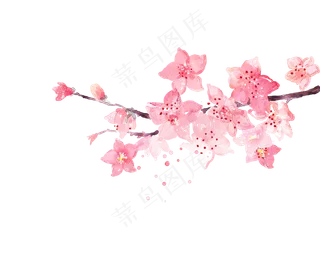 清新花朵背景57免扣图片