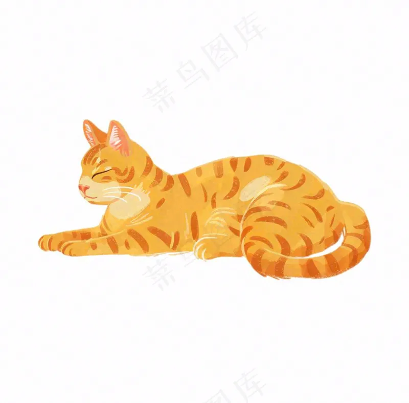 猫咪宠物橘猫可爱动物卡通插画免抠(1040x1024)