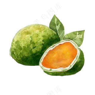 青团艾草清明元素水彩插画免抠