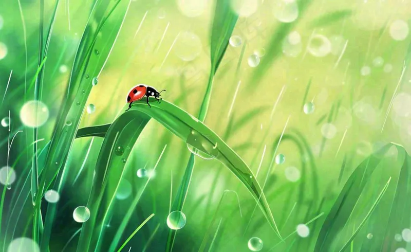 惊蛰雨水谷雨春天瓢虫昆虫绿色嫩草下雨天卡通插画背景(1408x864)