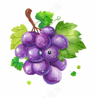 紫葡萄水果水彩插画免抠
